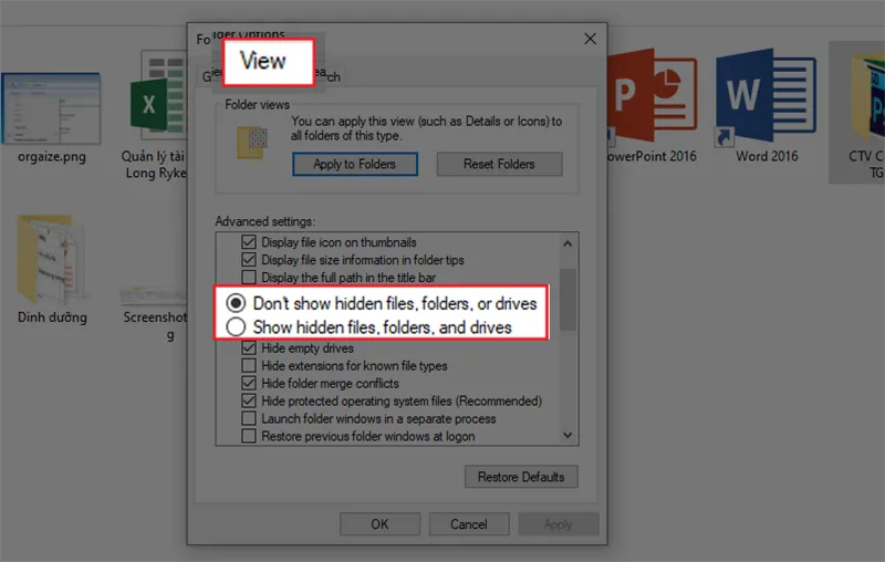Tùy chọn hiển thị file ẩn thông thường trong Windows
