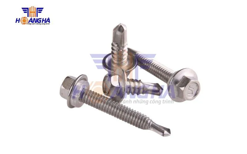 Kho vít bắn tôn đa dạng chủng loại