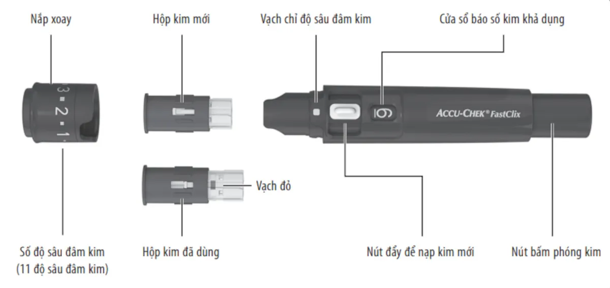 Các bước hướng dẫn sử dụng bút lấy máu Accu-Chek FastClick để đo đường huyết.