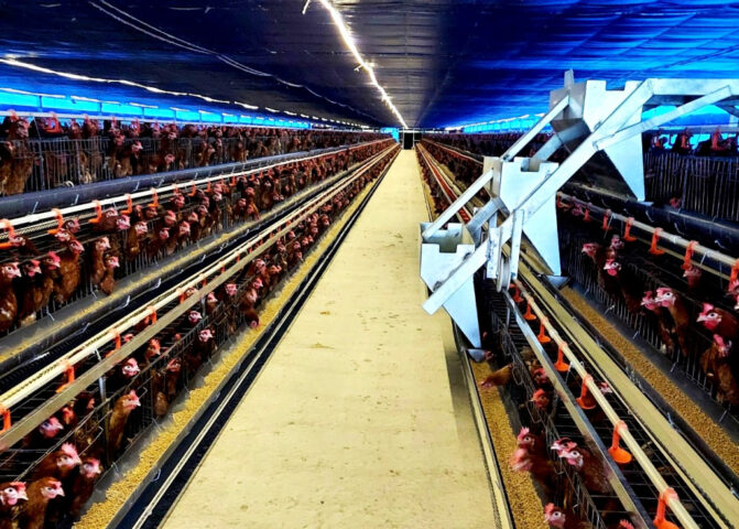 Triển Khai Lắp Đặt Cần Chắn Dàn Chắn Tự Động: Tối Ưu An Toàn Giao Thông