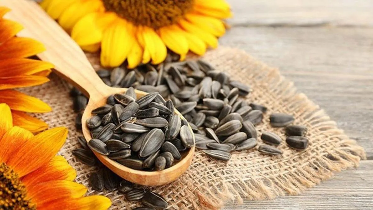 Hạt hướng dương chưa tách vỏ và đã tách vỏ, minh họa nhu cầu chế máy tách hạt hướng dương