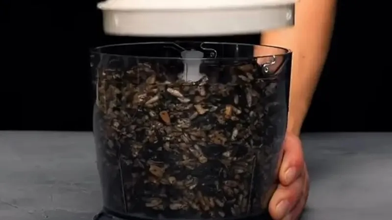 Sử dụng máy xay để tách vỏ hạt hướng dương, gợi ý cơ chế cho máy tách hạt hướng dương tự chế