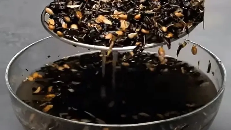 Tách vỏ và nhân hạt hướng dương bằng nước, phương pháp cần tích hợp vào cách chế máy tách hạt hướng dương