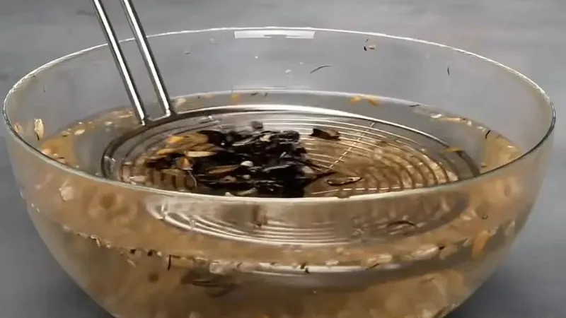 Làm ráo nhân hạt hướng dương đã tách, bước cuối của quy trình khi chế tạo máy tách hạt