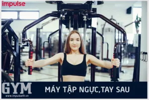 Cách Sử Dụng Các Máy Tập Gym Hiệu Quả Cho Người Mới Bắt Đầu