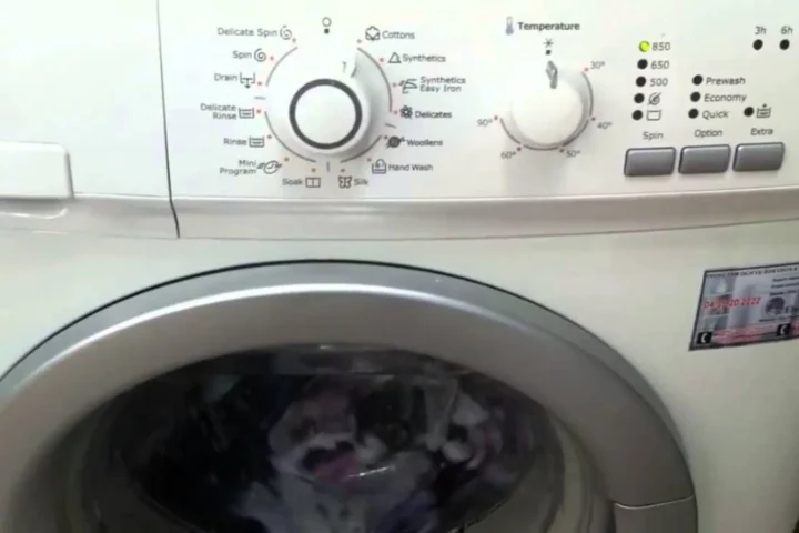 Hướng Dẫn Chi Tiết Cách Sử Dụng Máy Giặt Electrolux Đời Cũ Hiệu Quả