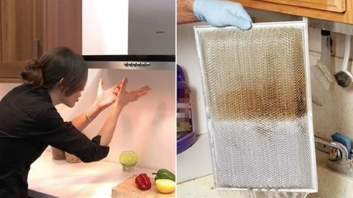 Quy trình vệ sinh lưới lọc máy hút mùi Hafele đúng cách, loại bỏ dầu mỡ bám bẩn để duy trì hiệu suất hút