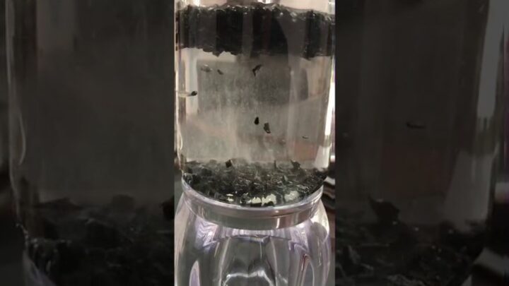 Than hoạt tính được sử dụng trong hệ thống lọc nước tự chế, cải thiện chất lượng nước.