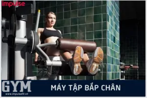 Cách Sử Dụng Các Máy Tập Gym Hiệu Quả Cho Người Mới Bắt Đầu Cách Sử Dụng Các Máy Tập Gym Hiệu Quả Cho Người Mới Bắt Đầu