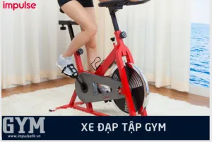 Cách Sử Dụng Các Máy Tập Gym Hiệu Quả Cho Người Mới Bắt Đầu Cách Sử Dụng Các Máy Tập Gym Hiệu Quả Cho Người Mới Bắt Đầu