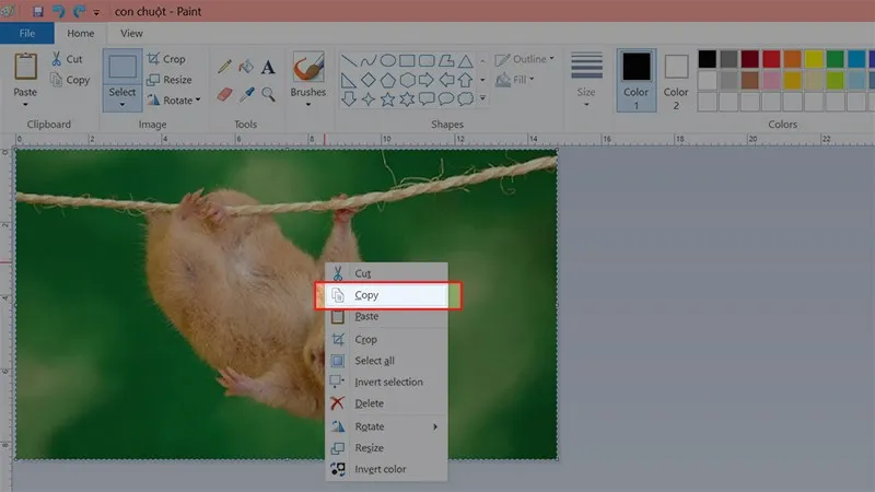 Thao tác chọn toàn bộ ảnh (Ctrl + A) và sao chép (Copy) để chuyển sang khung ghép khi tạo ảnh tổng hợp