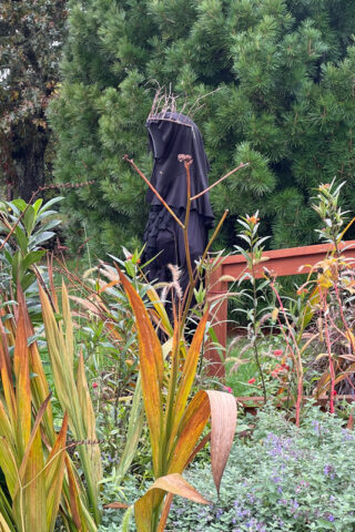 Cách Mở Nhạc Sau Khi "Chôn Lát" Từ Máy Tính: Hướng Dẫn Chi Tiết Để Tối Ưu Trải Nghiệm Âm Thanh