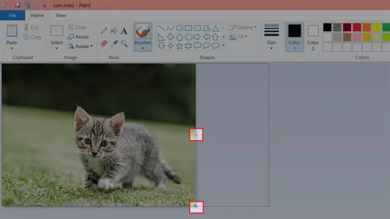 Kéo dài khung vẽ trong Paint bằng cách sử dụng các ô vuông điều chỉnh để tạo không gian ghép ảnh đa dạng