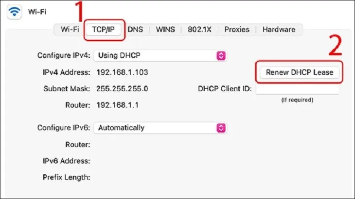 Chọn tab TCP/IP và chọn Renew DHCP Lease