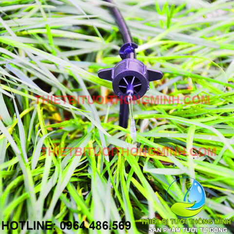 Hệ thống tưới nhỏ giọt cho rau hoạt động hiệu quả