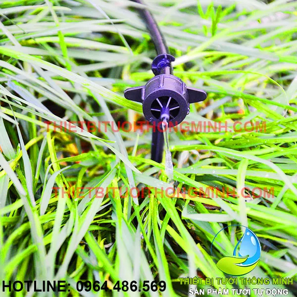 Hệ thống tưới nhỏ giọt cho rau hoạt động hiệu quả