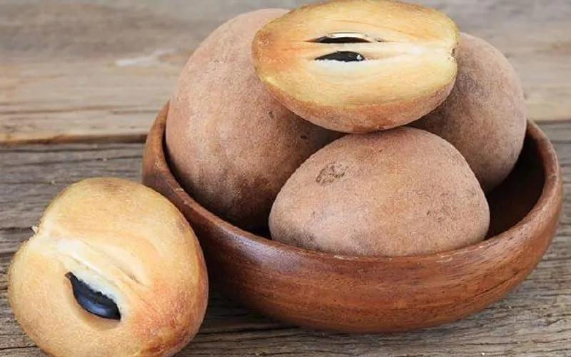 Những quả hồng xiêm tươi ngon, tượng trưng cho chất lượng cao của vật liệu thép không gỉ được dùng trong chế tạo mái rửa sabo.