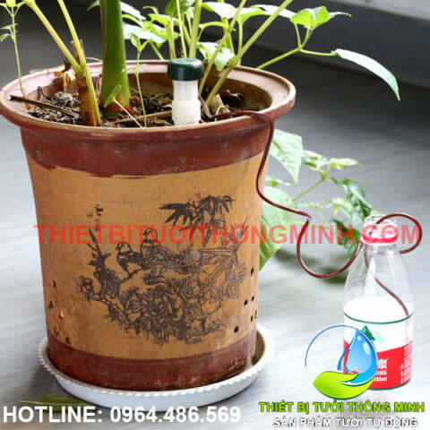 Bộ đầu dây tưới nhỏ giọt cắm chậu hút nước tự động