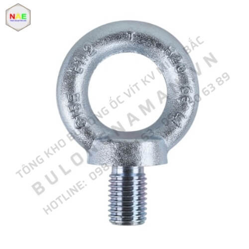 Bu lông mắt DIN 580