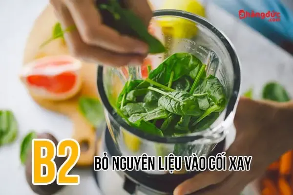 Bỏ nguyên liệu đã chuẩn bị vào cối xay của máy xay sinh tố Super Blender