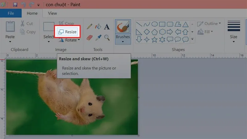 Sử dụng tính năng Resize trong Paint để điều chỉnh kích thước ảnh phù hợp trước khi ghép hai hình ảnh lại