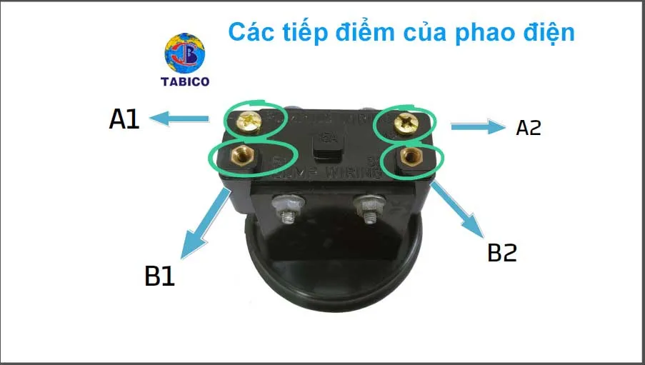 Các tiếp điểm A1, A2, B1, B2 trên phao điện