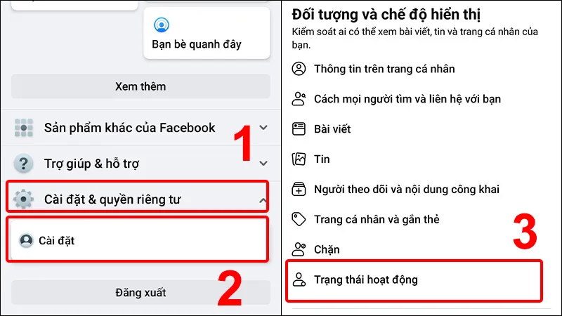 Vào trạng thái hoạt động trong phần Cài đặt Facebook