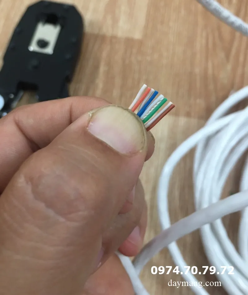 Cắt đồng đều các đầu lõi dây, đảm bảo thứ tự lắp dây mạng chính xác