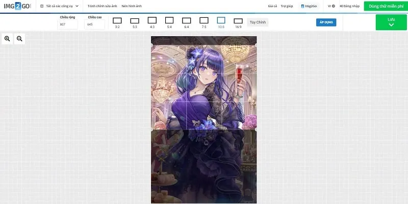 Áp dụng các thay đổi cắt ảnh trong Img2go để hoàn tất việc cắt sửa hình ảnh