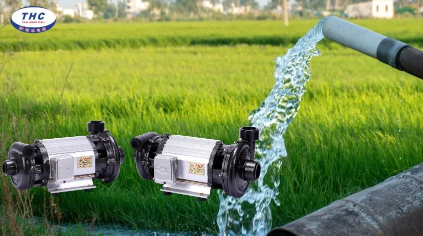 Hình ảnh tổng hợp các loại máy bơm và phụ tùng, cho thấy sự đa dạng trong lĩnh vực cơ khí và sự cần thiết của việc chọn lựa đúng loại đầu máy khoan phù hợp với từng ứng dụng cụ thể.