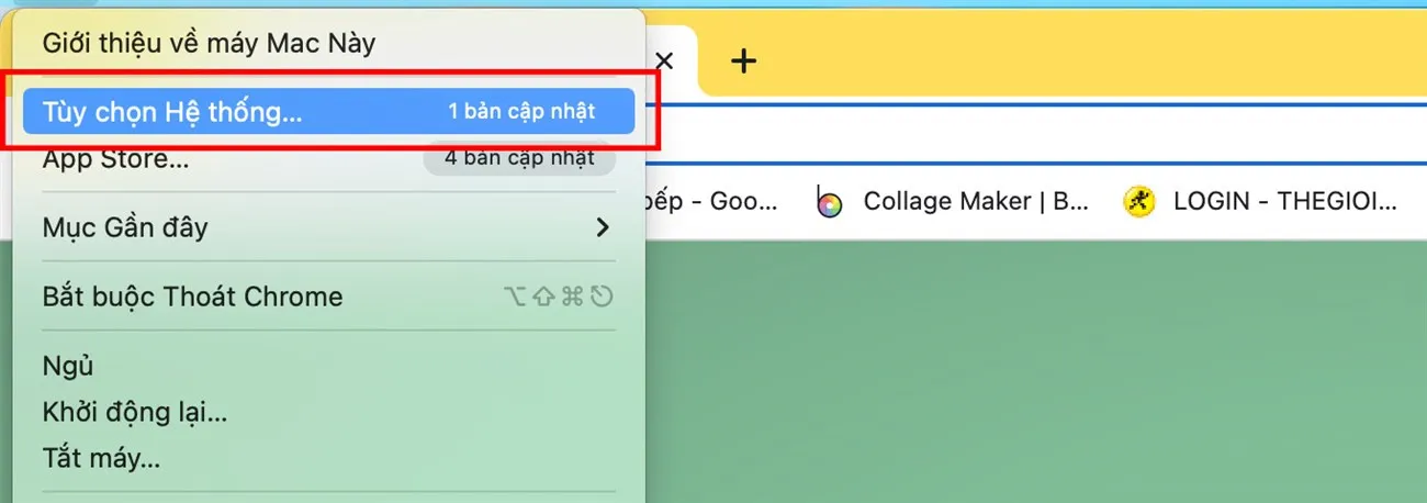 Mở menu Apple và nhấn vào Tùy chọn Hệ thống trên máy tính macOS