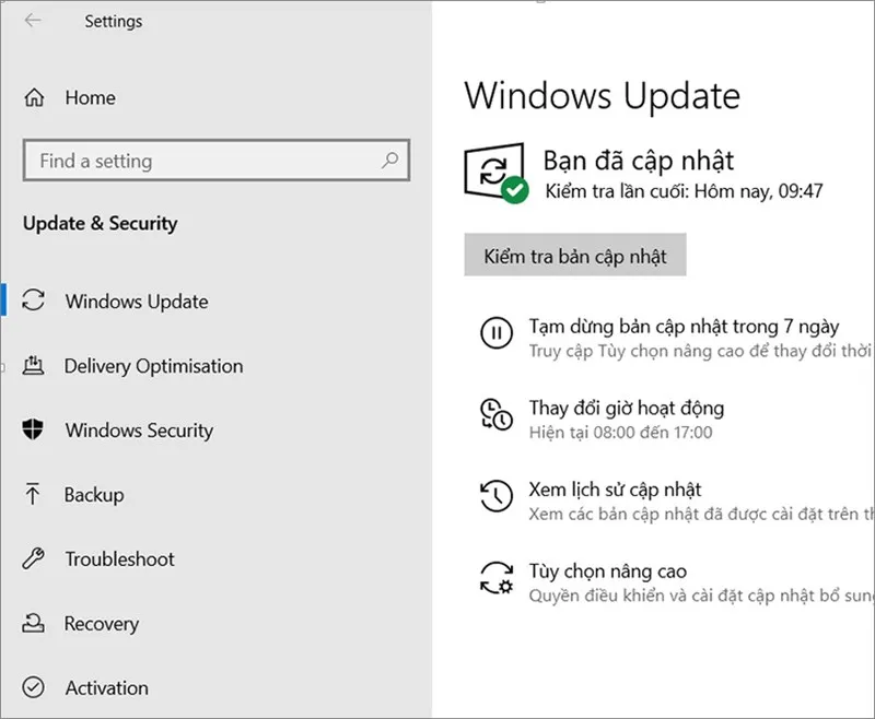 Hình ảnh minh họa màn hình kiểm tra cập nhật Windows thành công