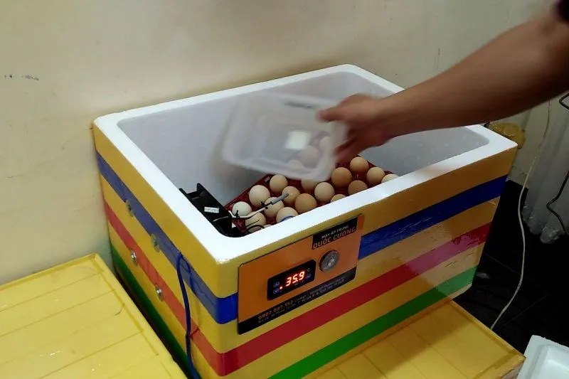 Hình ảnh minh họa máy ấp trứng mini tự chế bằng thùng xốp sau khi hoàn thành, thể hiện thiết kế đơn giản nhưng hiệu quả để ấp nở gia cầm