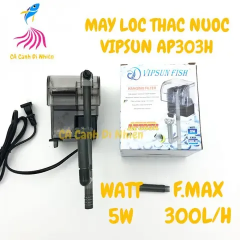 Tầm quan trọng của hệ thống lọc nước đối với hồ cá mini
