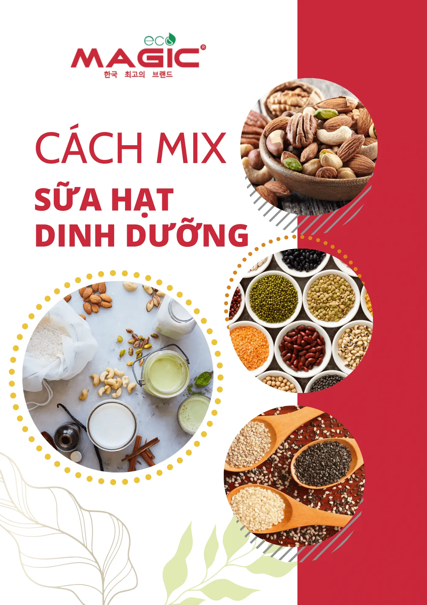 Sự Kết Hợp Hoàn Hảo Để Làm Sữa Hạt Bằng Máy Làm Sữa Hạt