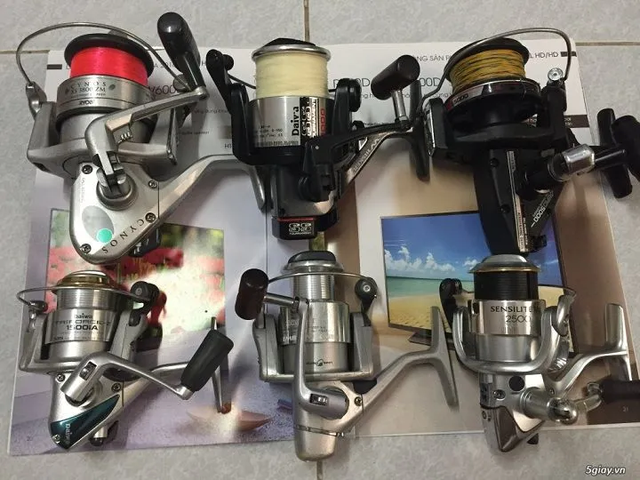 Kỹ Thuật Quấn Dây Câu Vào Máy Dọc: Hướng Dẫn Cách Sử Dụng Cần Câu Máy Dọc Đúng Chuẩn