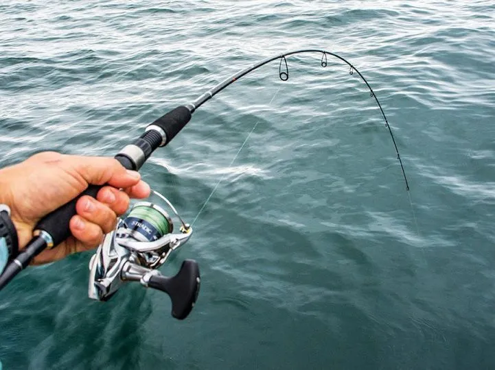 Cần Câu Máy Dọc Và Máy Ngang: Hướng Dẫn allintitle:Cách Sử Dụng Cần Câu Máy Dọc Chi Tiết