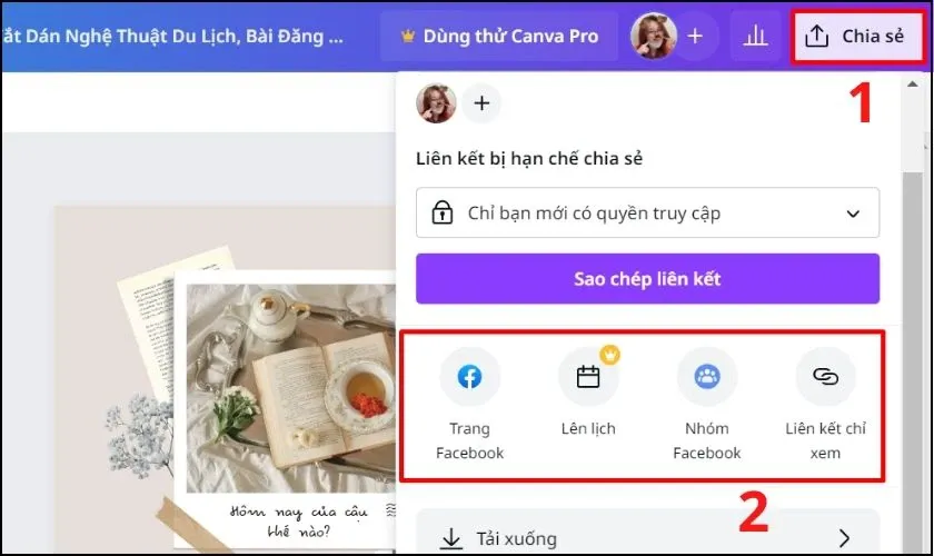 cách sử dụng canva trên máy tính để chia sẻ