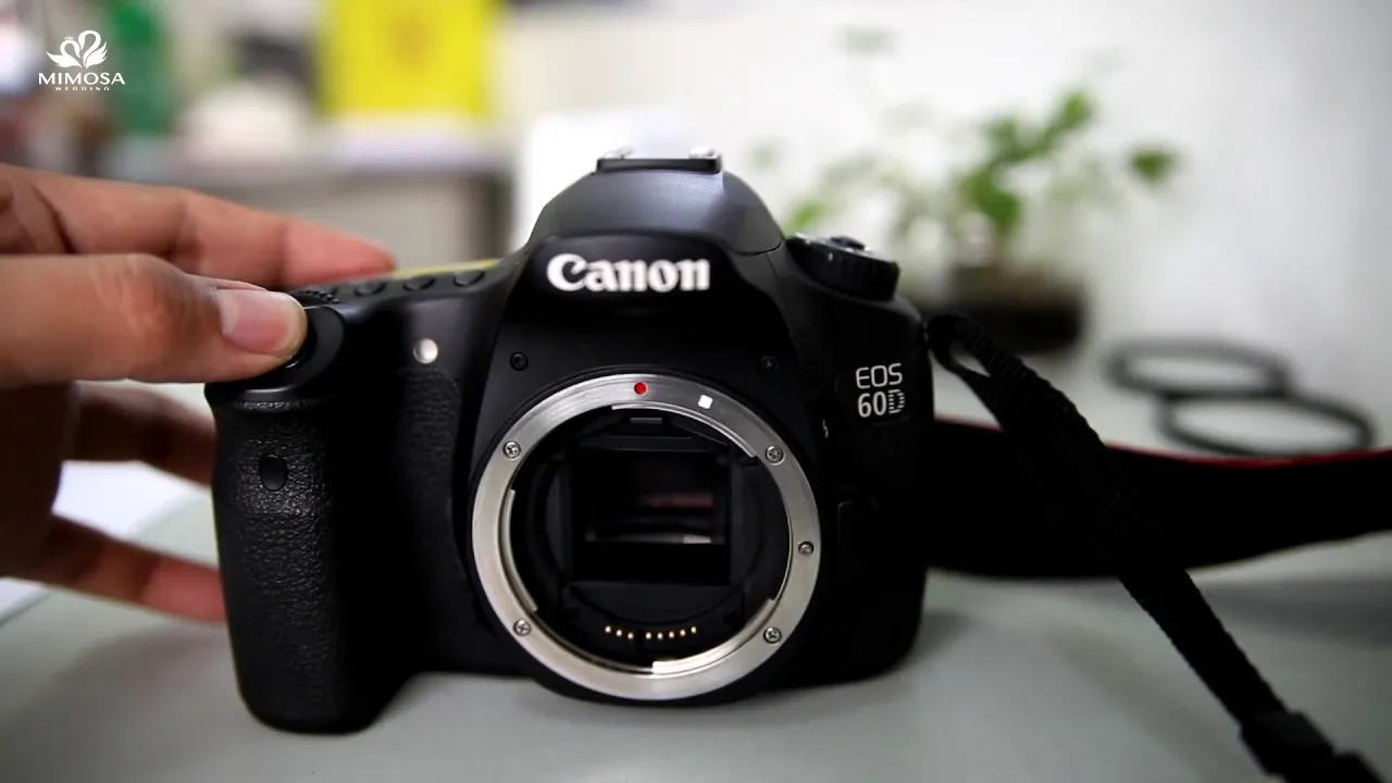 Người dùng đang học cách sử dụng máy cơ Canon để chụp ảnh chuyên nghiệp