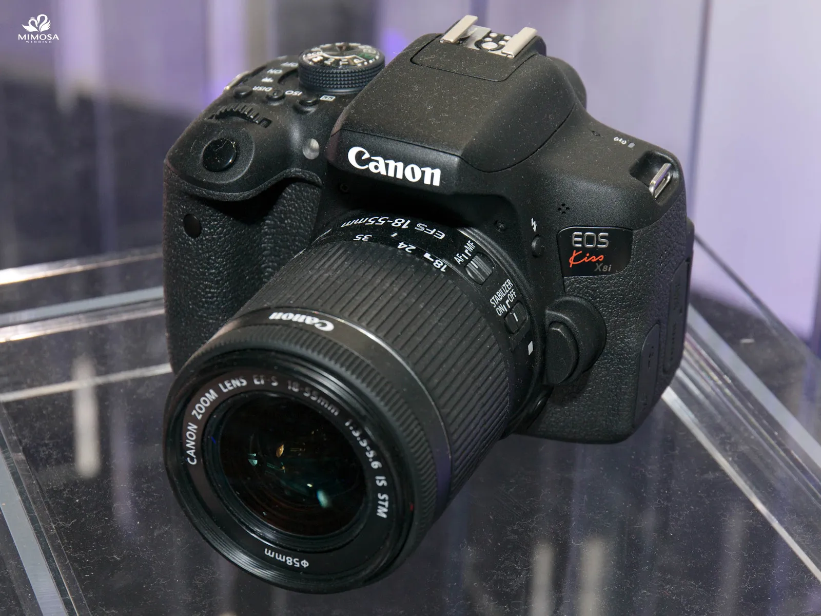 Thân máy Canon EOS 3000D với báng cầm chắc chắn, dễ dàng để học cách sử dụng máy cơ