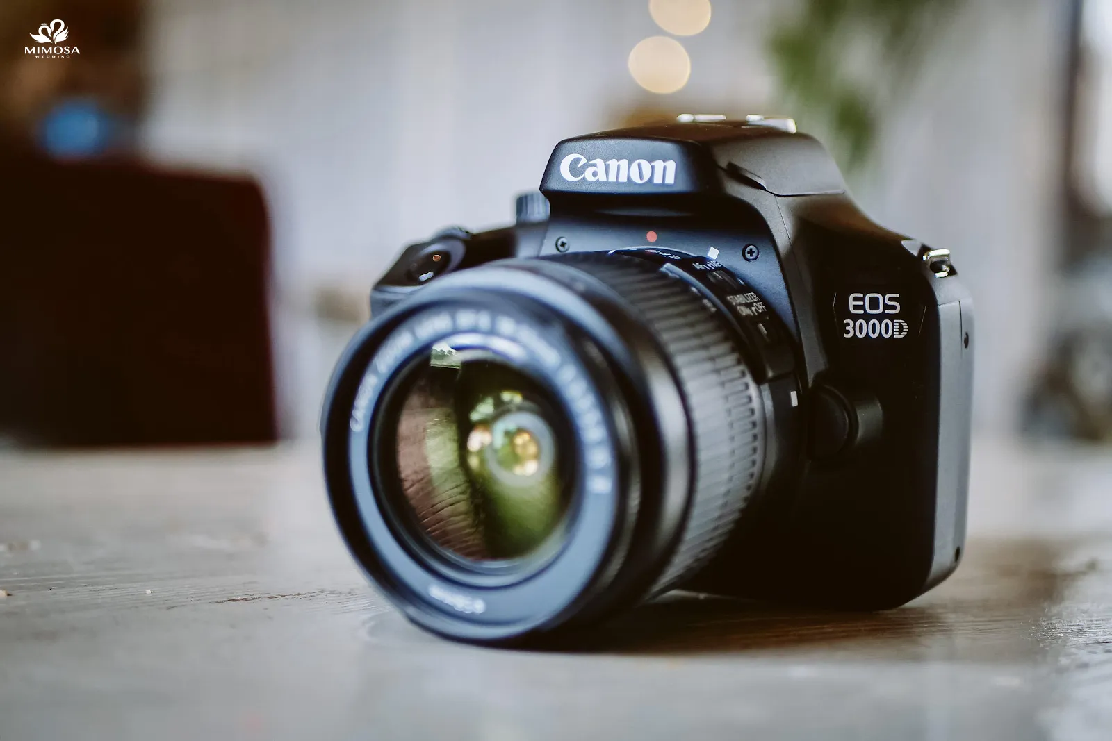 Người dùng đang điều chỉnh máy ảnh Canon EOS 3000D, nắm vững cách sử dụng máy cơ