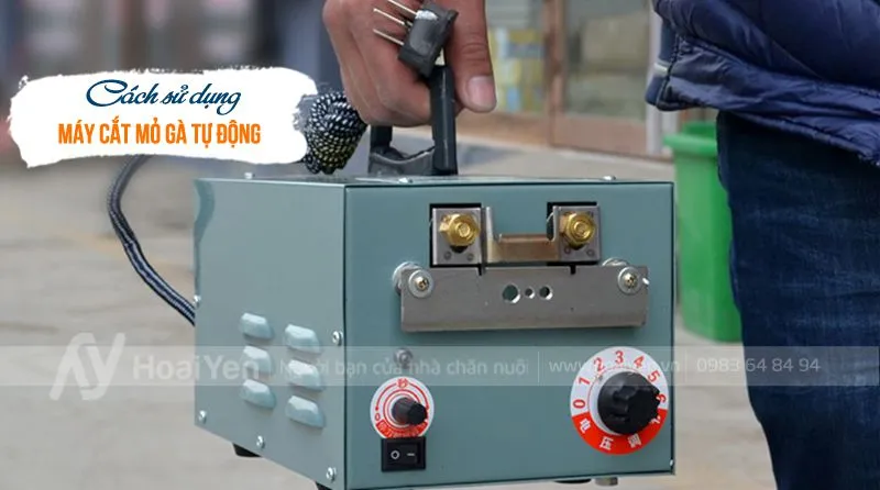 Máy cắt mỏ gà tự động 9DQ-4 giúp bà con áp dụng cách sử dụng máy cắt mỏ gà hiệu quả.