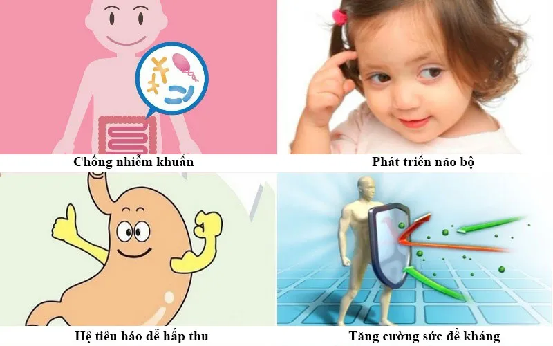 Đặc điểm dinh dưỡng của sữa mẹ thay đổi theo từng giai đoạn phát triển của trẻ sơ sinh