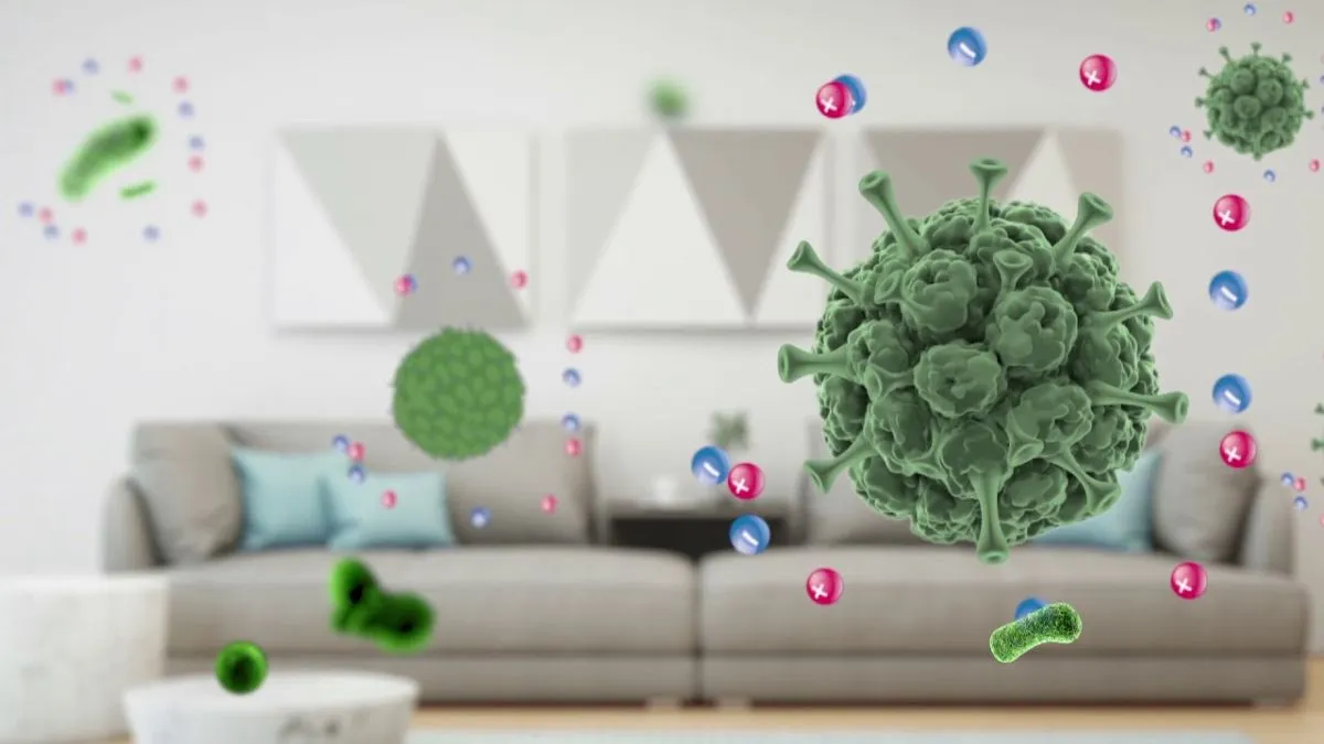 Mang lại nhiều lợi ích cho sức khỏe