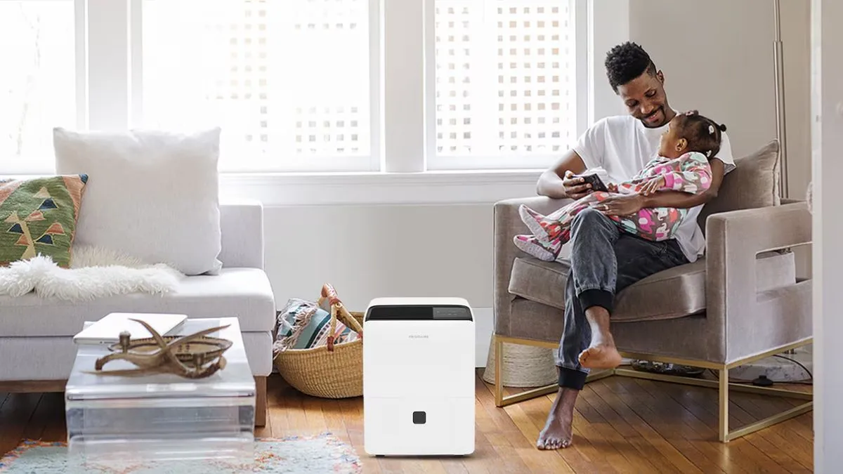 Hệ thống hút ẩm tự động dạng ngưng tụ