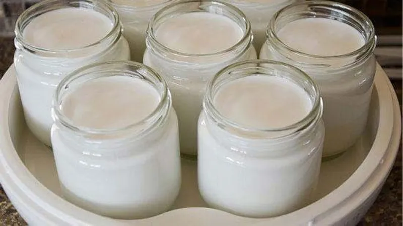 Nhược điểm của máy làm sữa chua