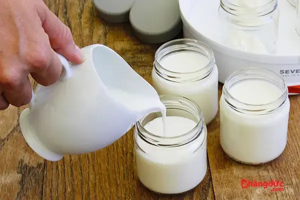 Hỗn hợp sữa đặc, sữa tươi và sữa chua cái đang được khuấy đều