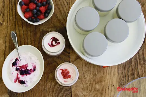 Các nguyên liệu làm sữa chua: sữa đặc, sữa tươi, sữa chua cái, hũ thủy tinh