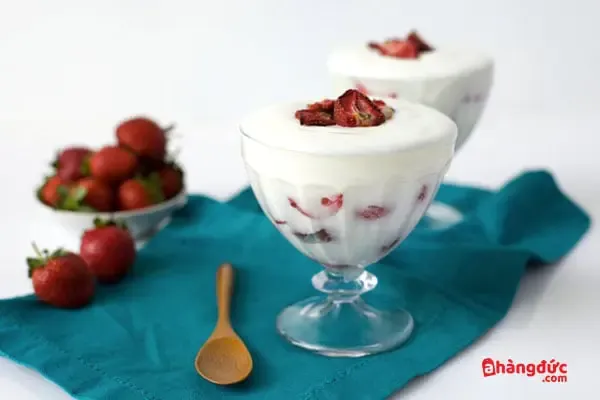 Các hũ sữa chua đã được đổ đầy hỗn hợp và đặt trong máy Severin