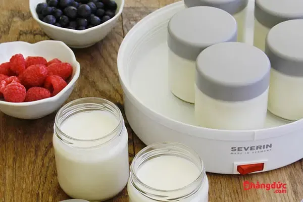 Ổ cắm điện và phích cắm của máy làm sữa chua Severin